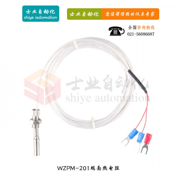 WZPM-201端面<a href='/com_shzy3/'>熱電阻</a>