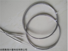 KMT-PT-GT-SS-8m 全不銹鋼溫濕度驗(yàn)證探頭