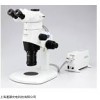 奧林巴斯解剖鏡SZX10-3151