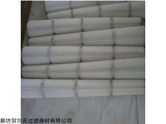 齐全 BHA除尘滤芯滤筒