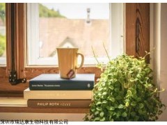 YGKV949 深圳除甲醛