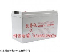 德州蓄电池内阻凯普锐ups电池