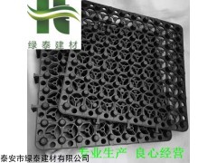 0.8-6.0cm規(guī)格齊全 1.5公分排水板廠家供應上海地下室疏水板
