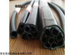PE-ZKW8×8束管 新疆PE-ZKW8×8束管订购指南