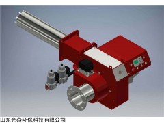 山东厂家供应低氮燃烧器 负责到底 行业