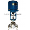 型号:ZX12-ZDLP/M375534 电动单座调节阀 器材