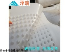0.8-6.0cm規(guī)格齊全 車庫排水板%重慶地下室防護排水異型片規(guī)格