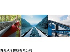 EP100 聚酯输送带