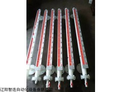 UHZ 防腐磁浮子液位计