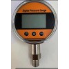 型號:Y-100 數顯正空壓力表