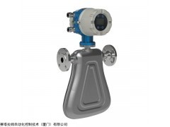 Walsn-CNG天然气质量流量计