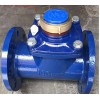 型号:TB42-LXL-50 水平螺翼式干式冷水表