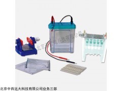 型號:BL61-DYCZ-26B 雙向電泳儀