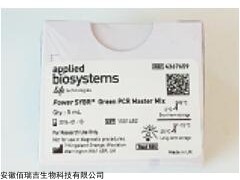 SYBR Green  Mix4367659