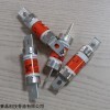 現貨AJT100法雷Ferraz熔斷器