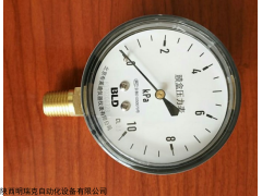 北京布萊迪BLD&brighty一般壓力表系列 北京布萊迪BLD&brighty一般壓力表