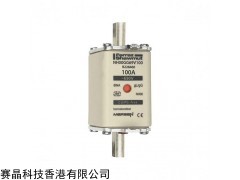 L228446 NH000GG69V20保险丝