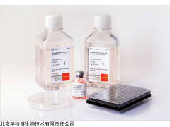 88-600-CV  康宁间充质干细胞无血清培养基