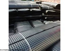 0.8cm-5.0cm 春季爆款地下室排水板//绿化疏水板