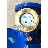 型号:TB183-LXLY-80E 旋翼式水表