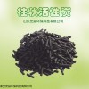柱狀蜂窩活性炭顆粒果殼椰殼廢水廢氣處理