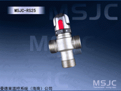 DN25幼兒園熱水恒溫器