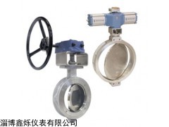 BCV /BCVA型号 SOMAS止回阀BCV /BCVA型号