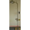 型号:M399971 紧急冲淋洗眼器（器材）