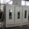 廣東泰宏君恒溫恒濕箱LRH-1500A-SE植物育苗培養(yǎng)箱