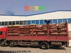 上海樹(shù)池覆蓋松 園林綠化松樹(shù)皮