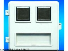 两表位玻璃钢电表箱 玻璃钢电表箱