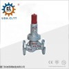 进口安全回流阀（美国卡洛特）