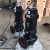 QW 22840r高轉速鑄鐵污水潛水泵高泵效質保