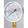 型號:M203503 徑向YN100耐震壓力表/油壓液壓油壓水壓標準螺紋
