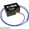 F型 Torus