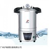 DSX-280B 手提式压力蒸汽灭菌器18L手提灭菌锅