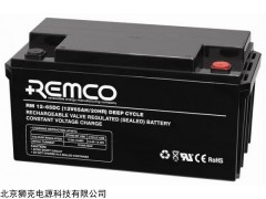 REMCO蓄电池DCM系列 详细参数