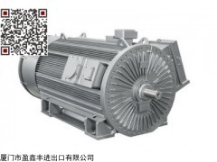 LOHER 德国 西门子 LOHER  罗尔 高电压电机