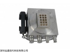 YT-IPSG/EX10 管廊IP防爆电话机