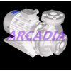 Arcadia 进口端吸离心泵(美国进口品牌)