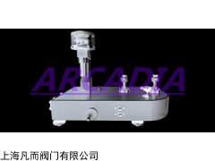 Arcadia 进口气体活塞式压力计(美国进口品牌)