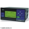 SWP-LCD-ND815-01-23/23-HL-P 外给定控制仪