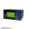 SWP-LCD-R8201-00-23/12-N 小型化無(wú)紙記錄儀