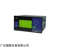 SWP-LCD-NLQ812-22-AAG-HL 智能防盜熱量積算儀