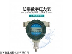 ZX-20E 防爆數(shù)字顯示壓力表