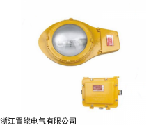 厂家直销BFC8182长寿低耗防爆灯工厂车间