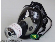 全防型防毒面罩YQ5400A 上海彦权全防型防毒面罩