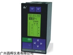 SWP-LCD-NLR802-82-AAG-HL 智能防盜流量積算儀