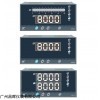 WP-D80-020-23-HL-P调节仪