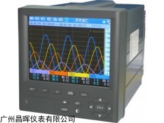 SWP-TSR101-1-0無紙記錄儀